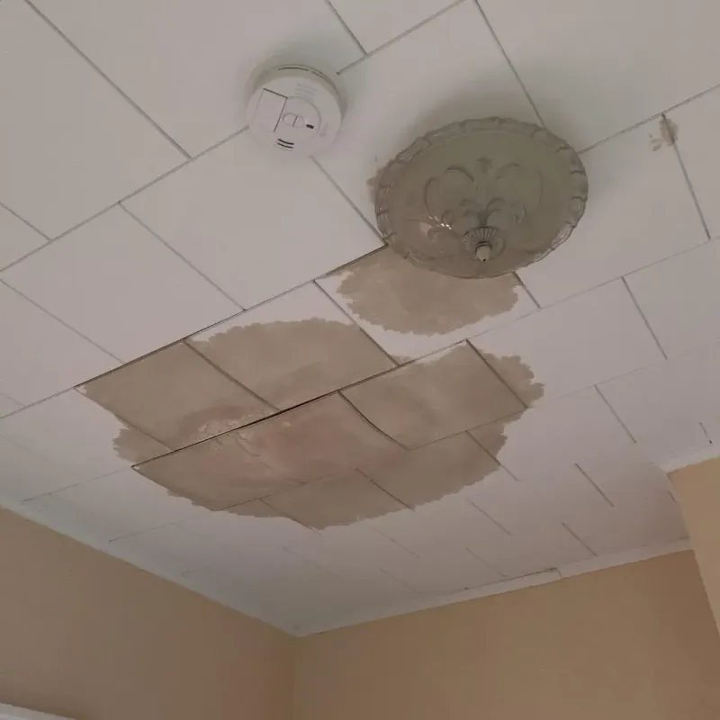 Ceiling Water Damage Repair in Wheelersburg, OH