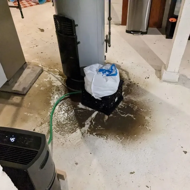 Sewage Backup Cleanup Service in Wheelersburg, OH